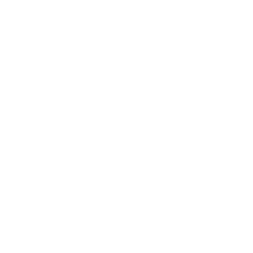Brain Circle